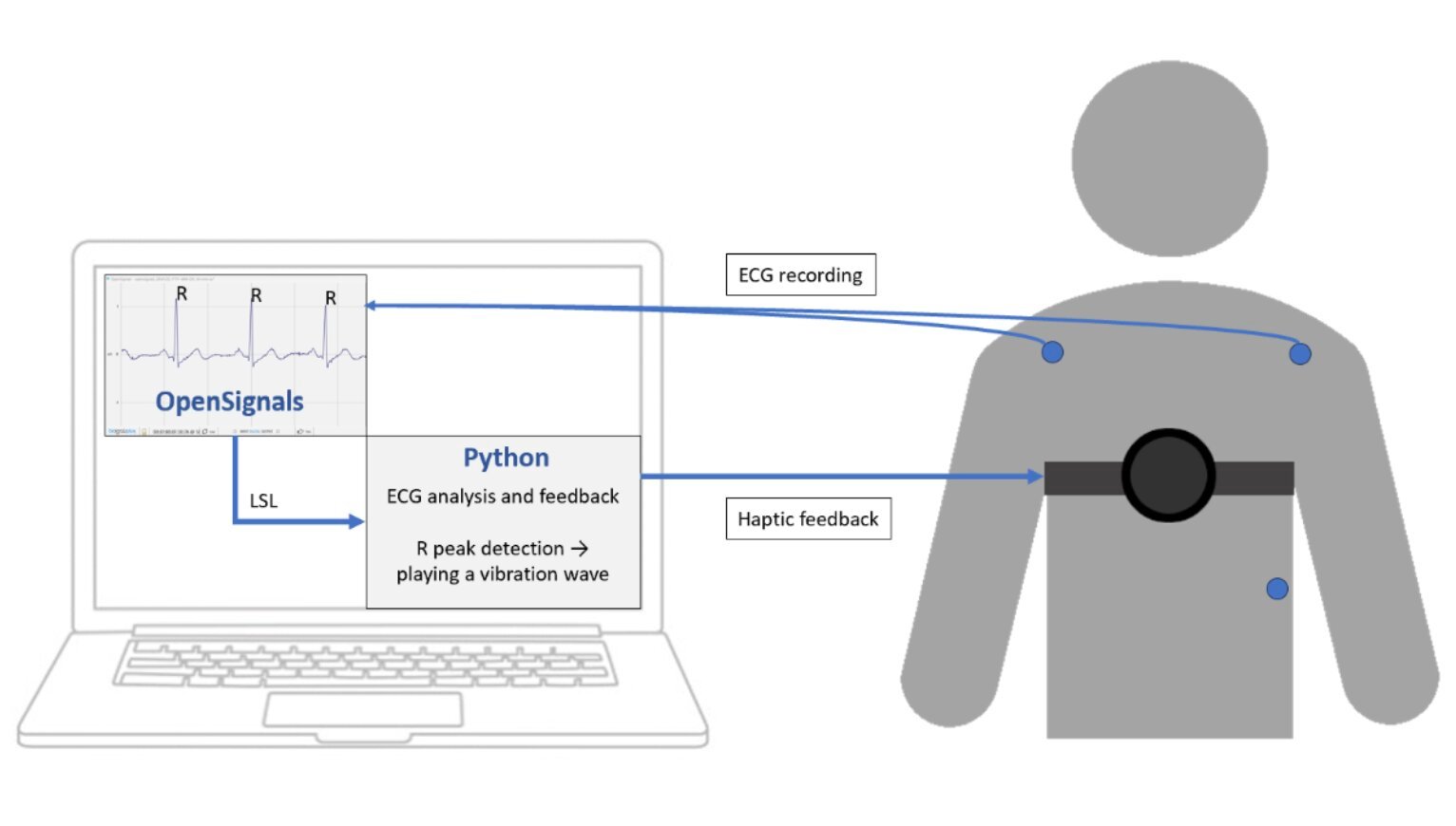 Enhancing the mind-body connection through technology and touch – Medical Xpress