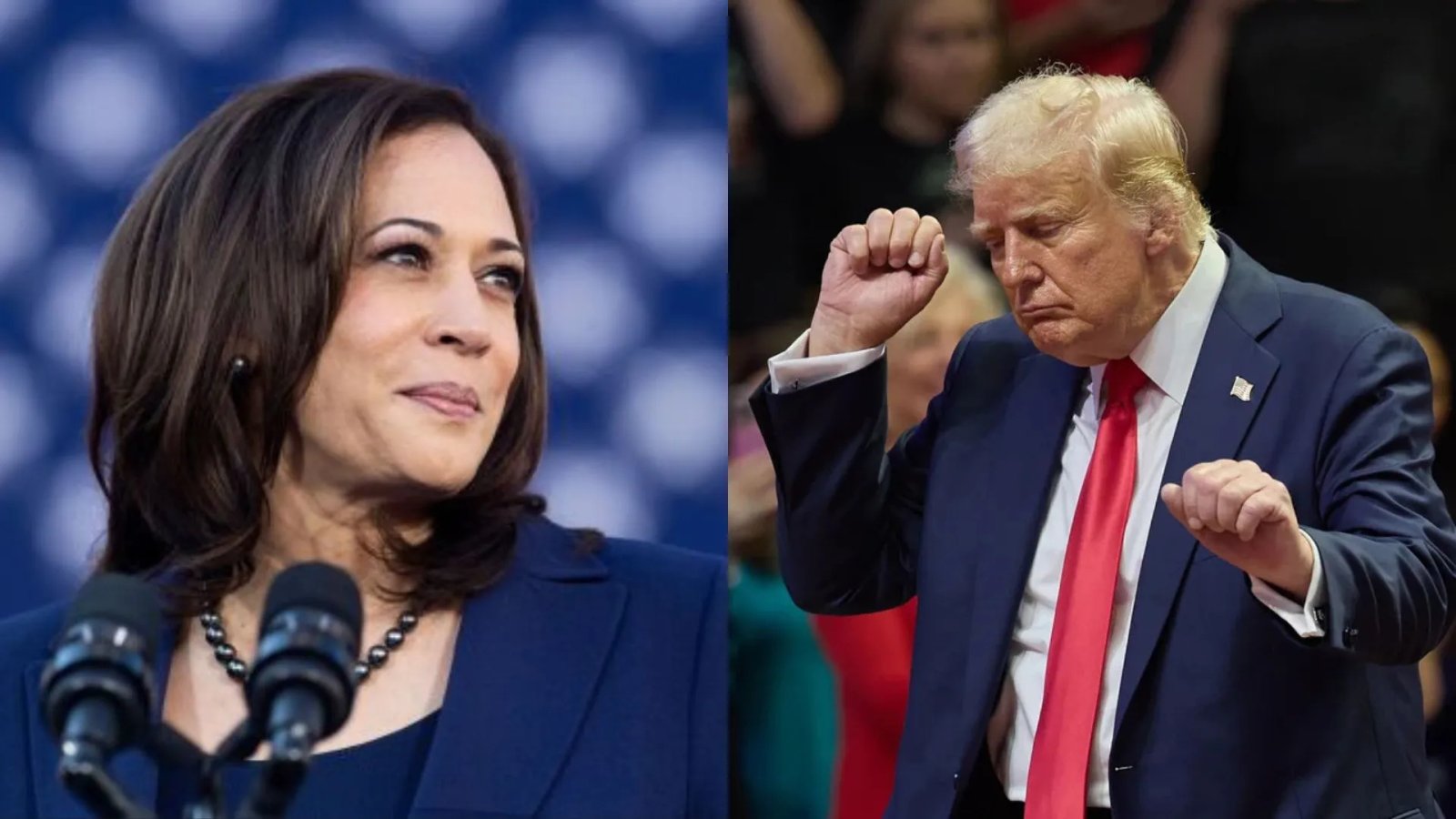 Kamala Harris Targets Donald Trump's Mental Fitness After Bizarre Campaign Rally Performance – NewsX