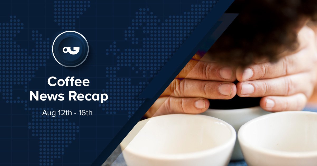 Coffee News Recap, 16 Aug: BoP 2024 sets new ,013/kg record – Perfect Daily Grind