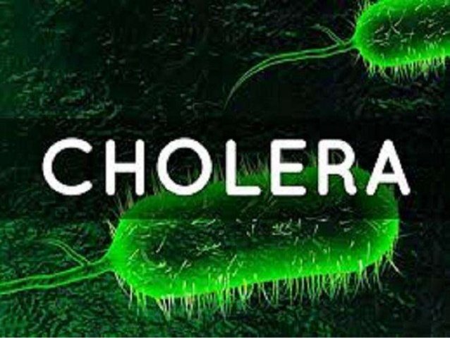 Cholera: 14,237 persons infected across Nigeria as death toll hits 378 – Daily Trust