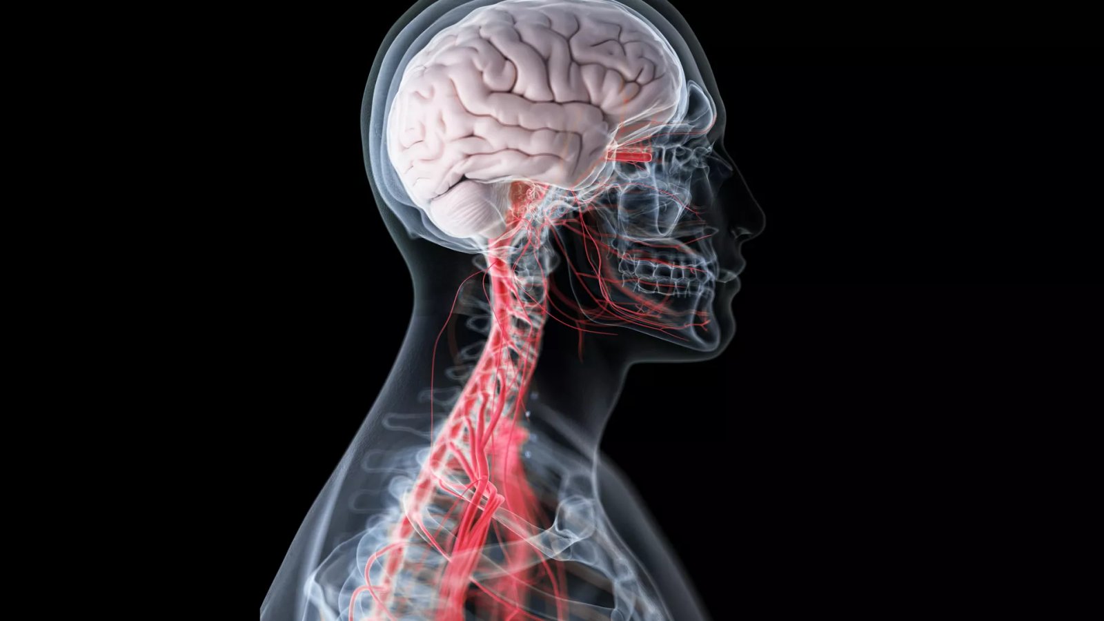 Erratum: Yoga, meditation and mind-body health: increased BDNF, cortisol awakening response, and altered inflammatory marker expression after a 3-month yoga and meditation retreat – Frontiers