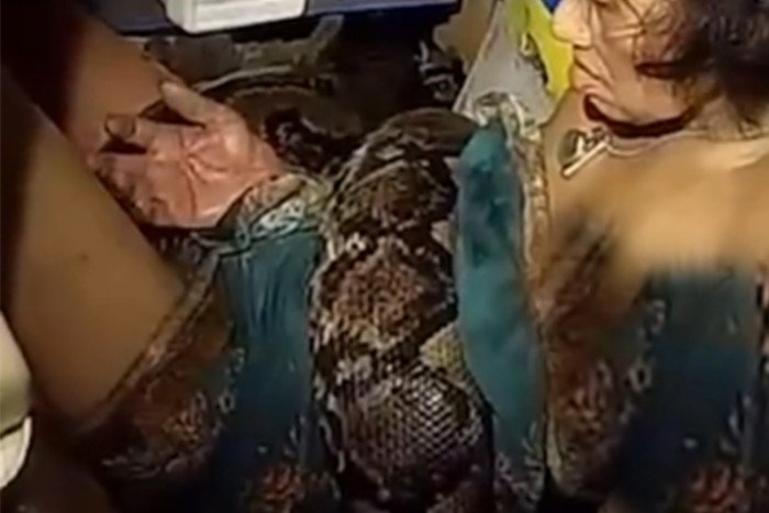 Woman rescued from 4-metre python attack – Bangkok Post