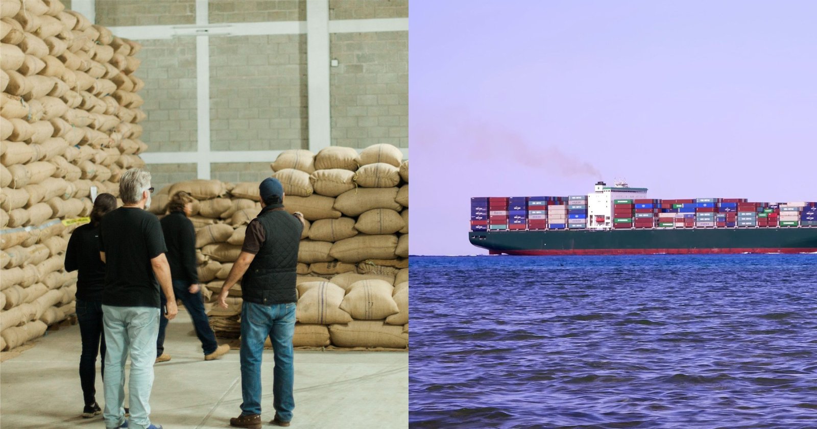 Red Sea crisis: How roasters can prepare for shipping delays – Perfect Daily Grind