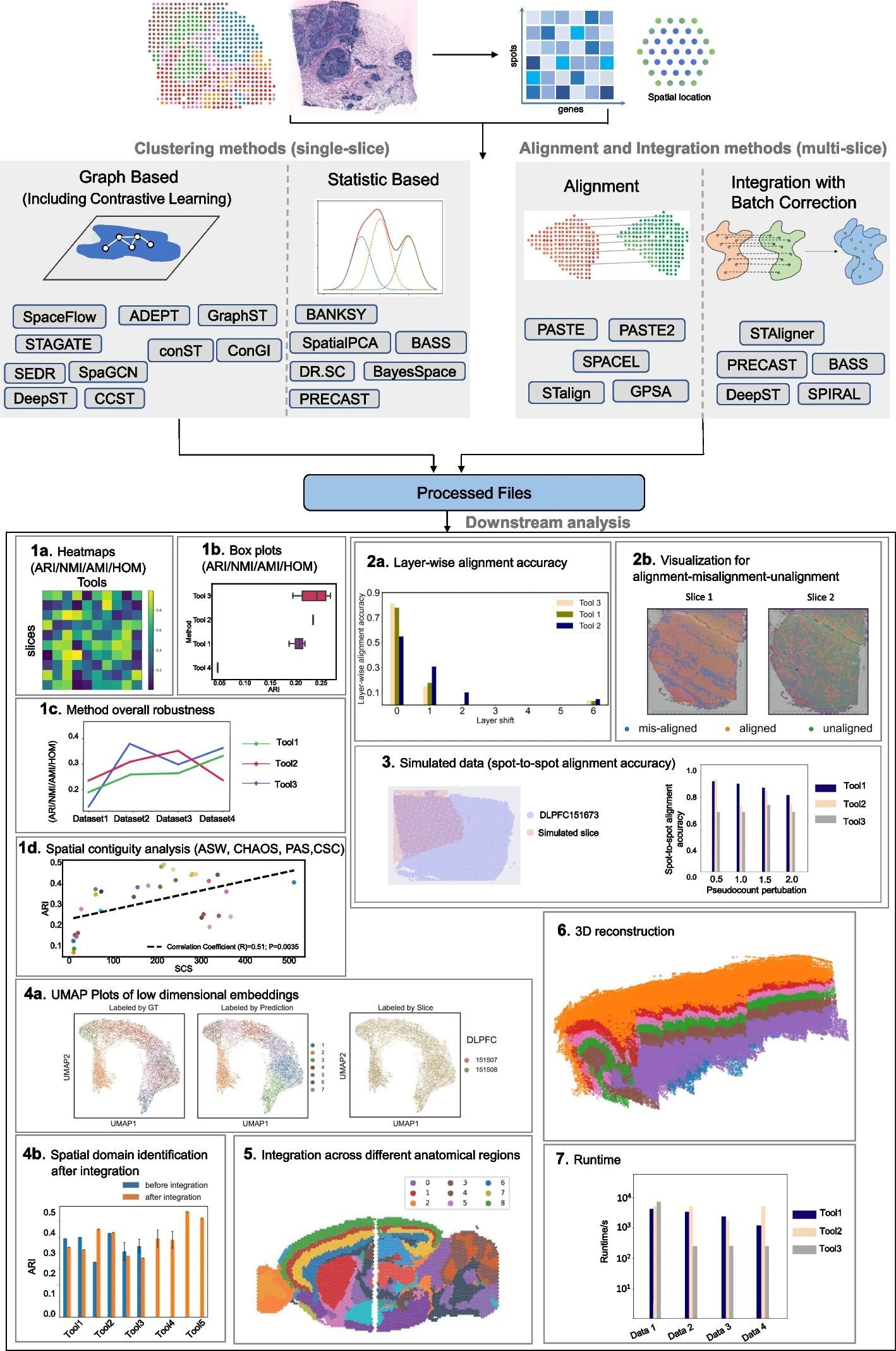 Benchmarking study aims to assist scientists in analyzing spatial transcriptomics data – Phys.org