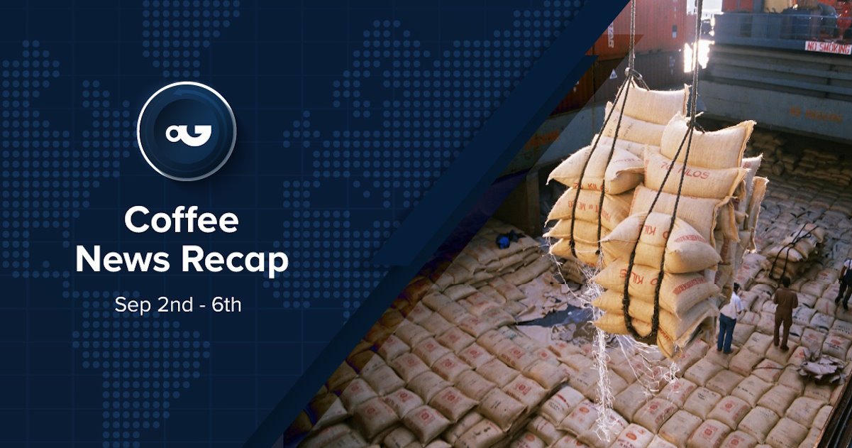 Coffee News Recap, 6 Sep: Robusta future drop from 16-year high – Perfect Daily Grind