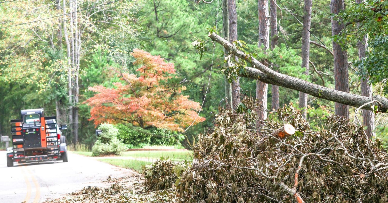 Mental health support available in the wake of Helene – UpstateToday