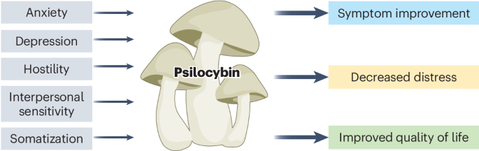 Psilocybin-assisted psychotherapy as an ‘anti-distressant’ with multidimensional properties – Nature.com