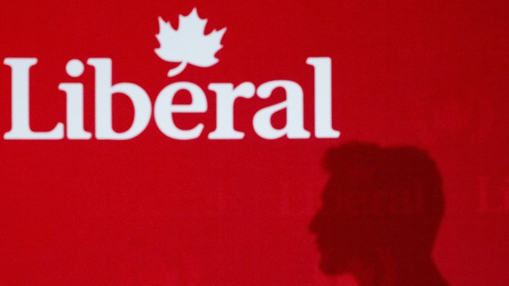 Who should lead the Liberals? 'None of the above,' poll finds – CTV News