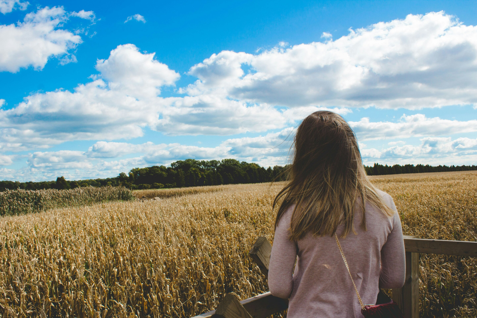 Farm women's well-being: The unseen 'triple burden' – Medical Xpress