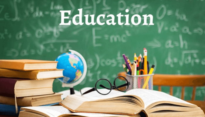 The ‘Sapa’ syndrome and its effects on education in Nigeria – Businessday