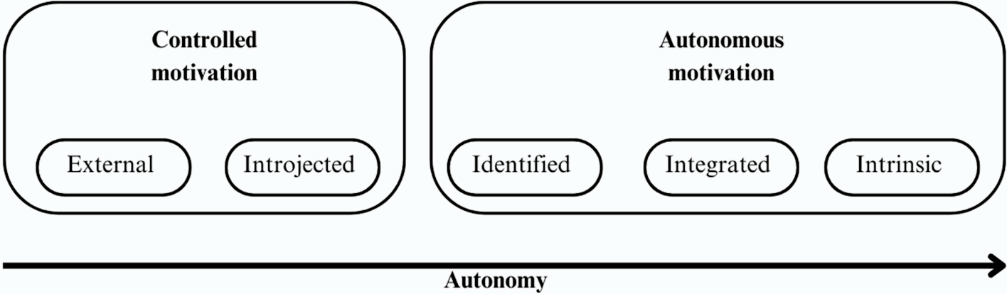 Exploring motivation, goals, facilitators, and barriers to adopt health behaviors at retirement age: a focus group study – BMC Public Health