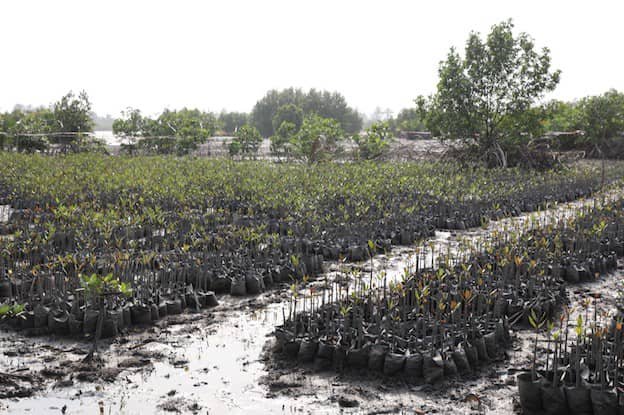 End neglect of Niger Delta region, gas flaring, foundation tells FG – The Guardian Nigeria News