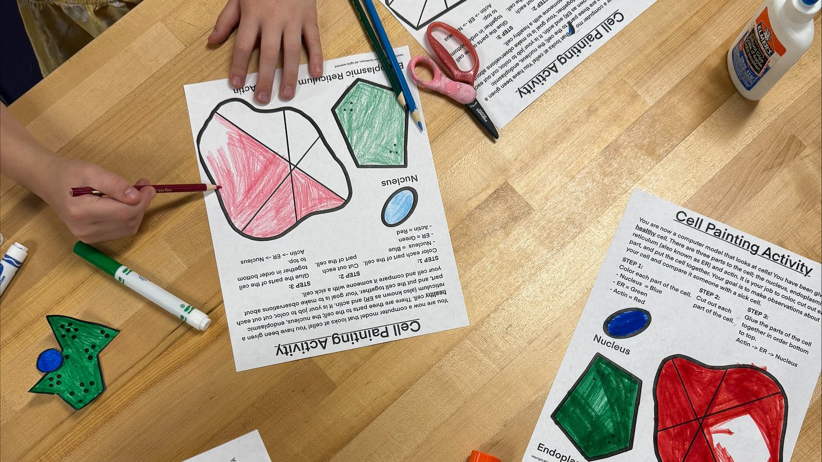 A STEM Adventure in Cell Painting and Machine Learning – CU Anschutz newsroom