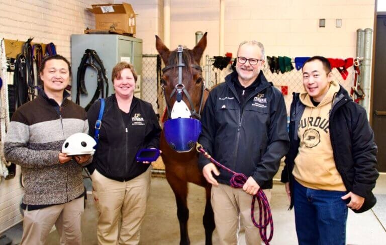 Asthmatic Horses can breathe easier thanks to Purdue Health and Human Sciences and College of Veterinary Medicine – Purdue University College of Veterinary Medicine
