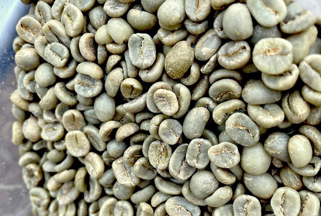 Coffee Science Foundation Leading More Defects Research with UC Davis – Daily Coffee News by Roast Magazine