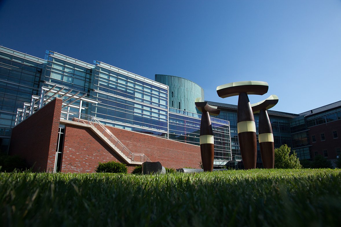 FAQ Computing Undergraduate Degree Options – Siebel School of Computing and Data Science