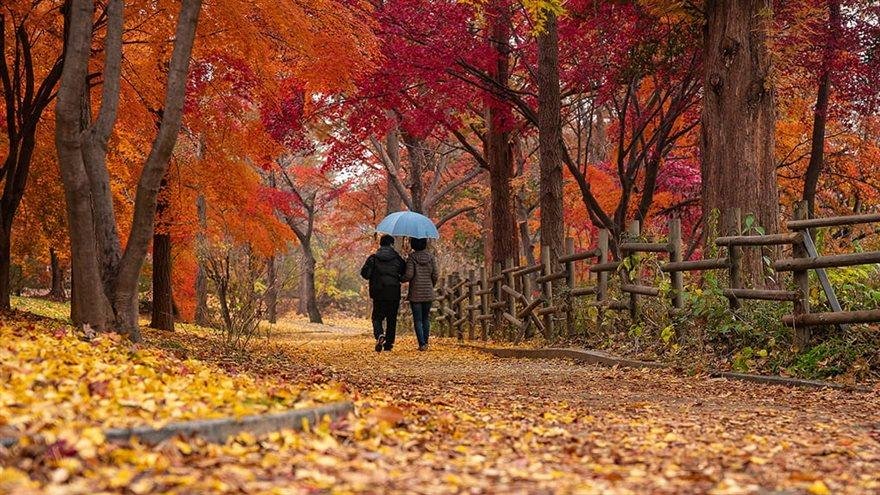 Being in Nature: Good for Mind, Body and Nutrition – Drexel