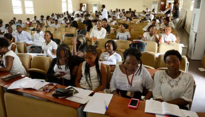Why Nigeria’s education crisis demands more than new universities – Businessday NG