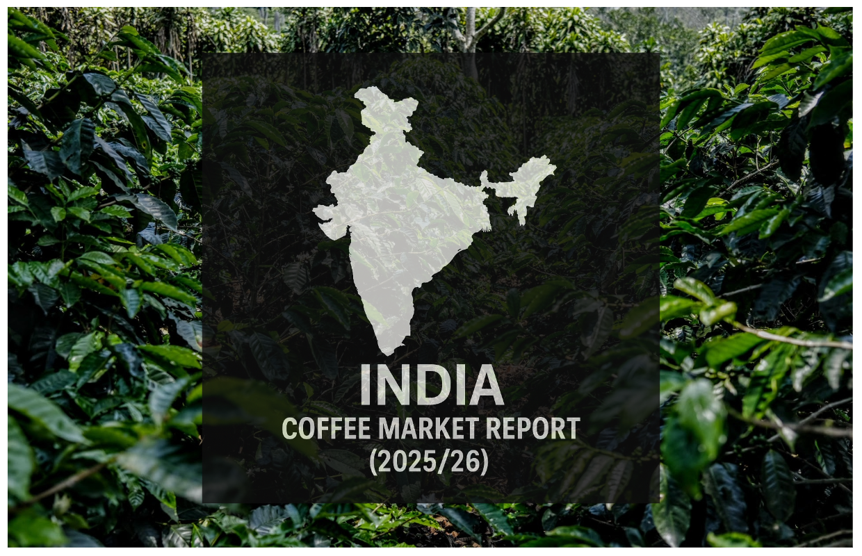 India Coffee Report: Weather to Reduce Output Amid Increased Demand – Daily Coffee News by Roast Magazine