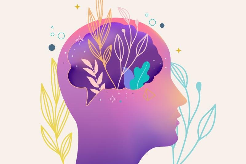 Mental Health Market Report 2025-2033: Innovations, Growth Factors, and Global Insights – openPR.com