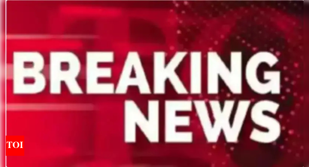 Breaking News Live Updates: Over 100 killed in Nigeria village gun attack, Amnesty claims – Times of India