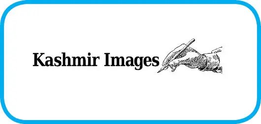 Teaching Children to Ask the Right Questions in the Age of AI – thekashmirimages.com Teaching Children to Ask the Right Questions in the Age of AI – thekashmirimages.com