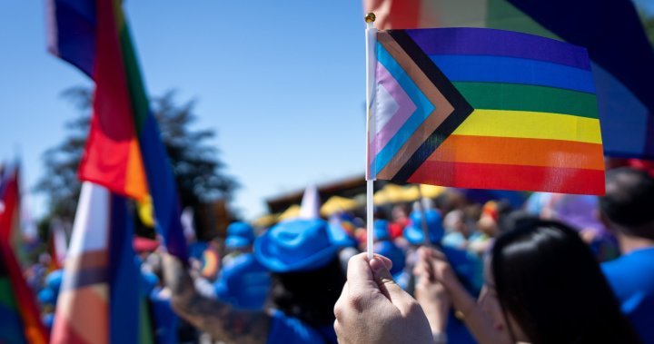 Canadians are ‘leading’ in LGBTQ2 support amid global declines: Ipsos – Global News