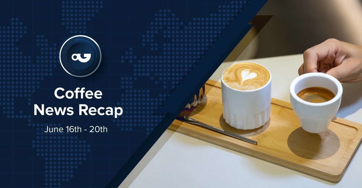 Coffee News Recap, 20 Jun: US specialty coffee consumption at 14-year high – Perfect Daily Grind
